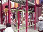 千葉県立柏の葉公園