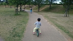 福岡堰さくら公園の写真v