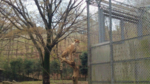 東京都多摩動物公園