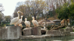 東京都多摩動物公園