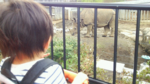 東京都多摩動物公園