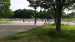 龍ケ岡公園の写真p