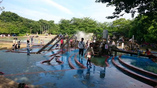 ふなばしアンデルセン公園 どこまでも続くアスレチック ランク上位 の体験レポート Kids Play キッズプレイ