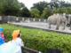 大人も子供も楽しめる動物園の写真l