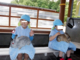 大人も子供も楽しめる動物園の写真k