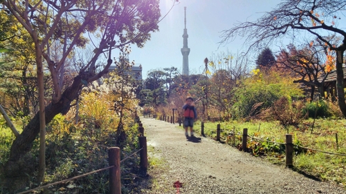 向島百花園 スカイツリーもみえる都立庭園 の体験レポート Kids Play キッズプレイ