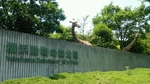 よこはま動物園ズーラシアの写真g
