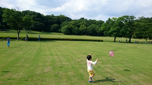 21世紀の森と広場 光と風の広場 の体験レポート Kids Play キッズプレイ