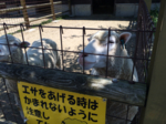 郡山石筵ふれあい牧場の写真e