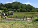郡山石筵ふれあい牧場の写真s