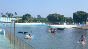 蓮沼ウォーターガーデンのおすすめポイントや地図 体験レポート2件 1 1 Kids Play キッズプレイ