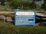 遊膳
