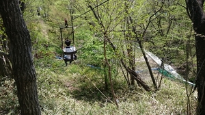 那須渓流パークのターザンの写真